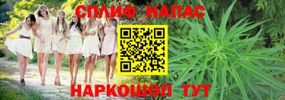 МДПВ Будённовск
