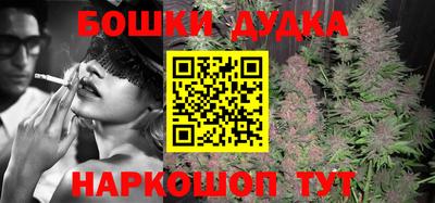 МДПВ Будённовск